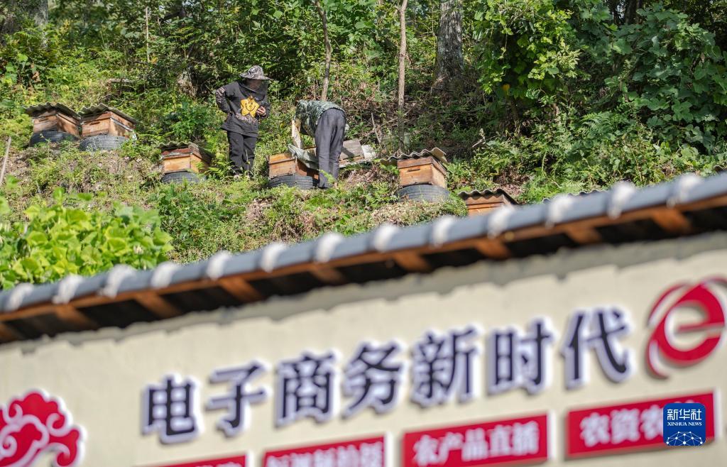 足球门户网站